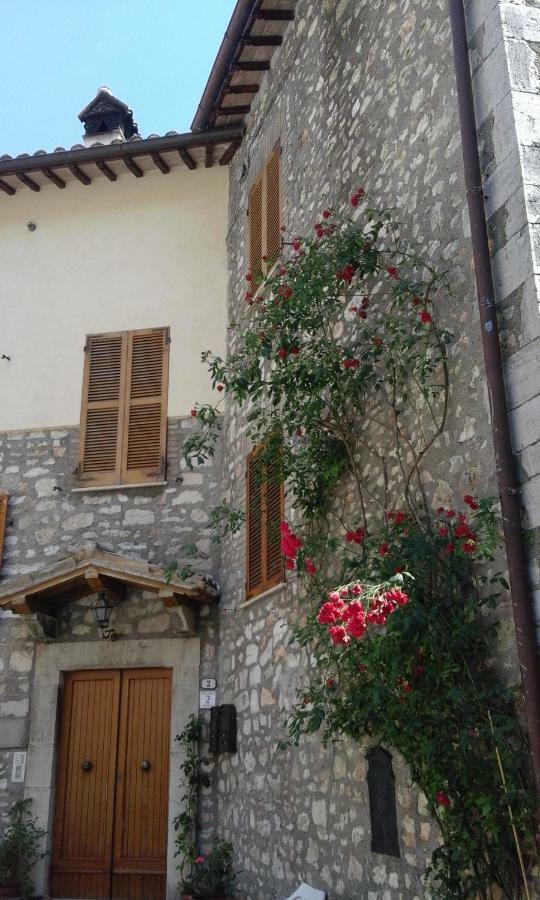 Agriturismo Terramia Meggiano エクステリア 写真