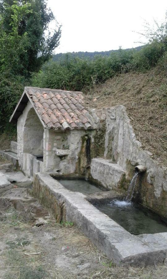 Agriturismo Terramia Meggiano エクステリア 写真